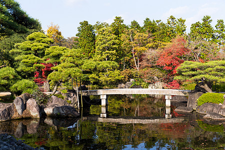 古琦园秋季的日本花园瀑布石头植物花园叶子旅游池塘公园水池种植园背景