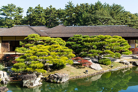 在冰地的Kokoen花园城堡季节旅行绿色叶子公园红叶树叶植物池塘图片