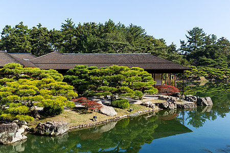 里瓜林花园公园环境池塘植物四国花园绿色图片