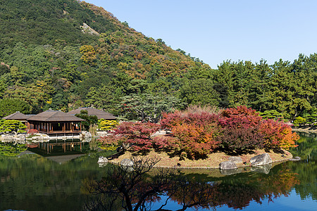 里瓜林花园风景木头建筑池塘宗教公园爬坡环境阳光石头图片