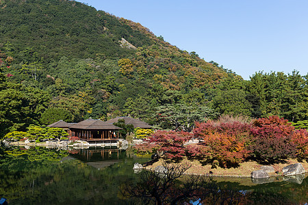 日本里草林花园红叶天桥植物场景植物学行人休息公园环境石头图片
