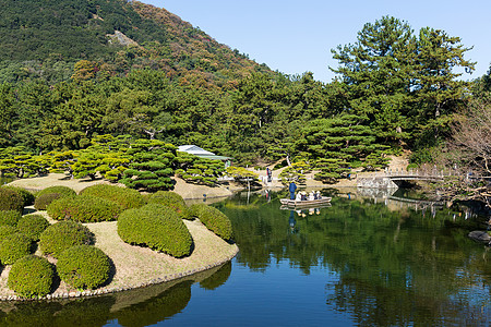 日本里草林花园公园四国池塘植物绿色环境图片