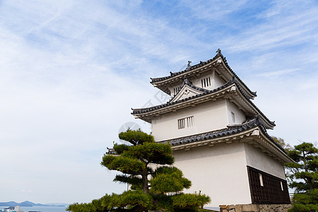 位于马鲁伽美的日本城堡图片