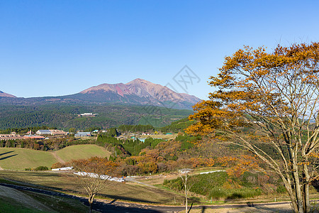 农村美丽的风景图景场地农场干草牧场丛林地标草原蓝色草地房子图片