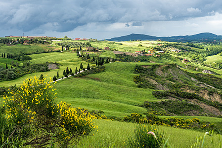 Val D'Orcia 托斯卡纳图片