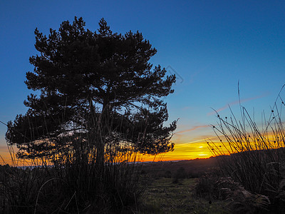 日落在苏塞克斯阿什当森林上地面蓝色场景天空土地橙子滚动地球原野英语图片