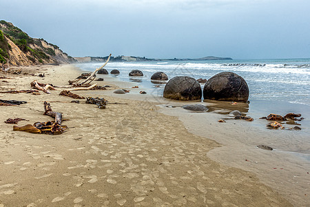 Moeraki 博板球形地标浅滩海滩冲浪沿海地质学岩石低潮海岸线图片