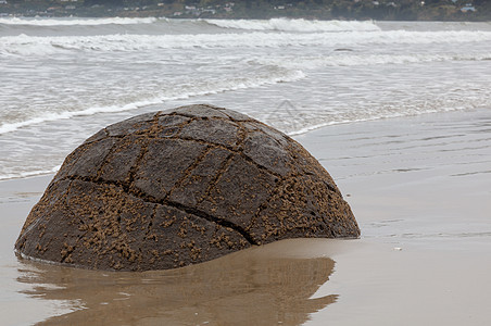 Moeraki 巨石低潮海滩石头地理海洋支撑天空海岸岩石海岸线图片