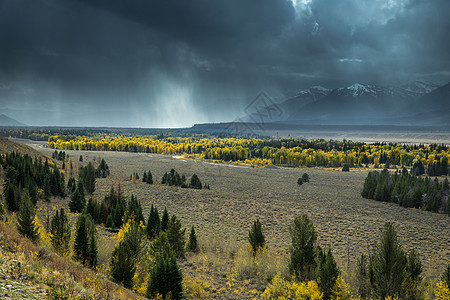 Grand Teton国家公园风景格式山峰天空智者风景树木衬套旅游黄色蓝色图片