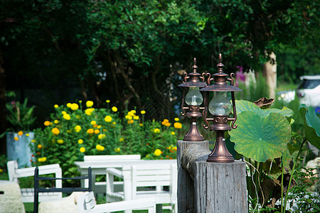 美丽的旧灯 鸟鸟灯材料金属木头灯笼建筑学工艺房子风格花园古董图片