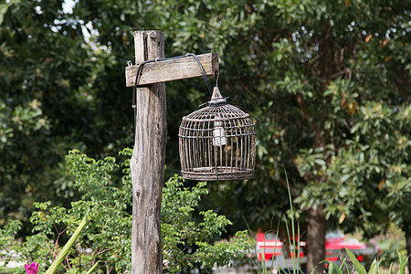 美丽的旧灯 鸟鸟灯材料柳条金属木头天花板古董竹子花园艺术风格图片