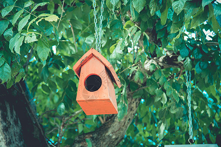 树上五颜六色的鸟巢天空季节森林栖息地蓝色野生动物房子木头乡村花园图片
