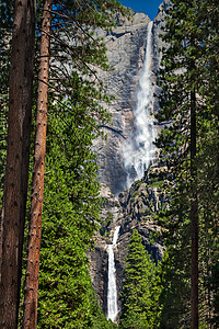 Yosemite 瀑布国家树木船长地质学石头荒野环境岩石悬崖农村图片