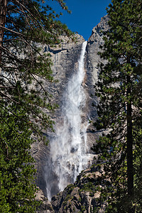 Yosemite 瀑布树木石头顶峰山脉风景针叶荒野松树船长地标图片