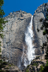 Yosemite 瀑布旅游顶峰石头船长公园悬崖山脉岩石松树花岗岩图片