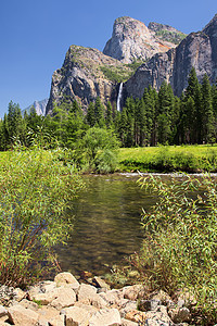 Yosemite 地貌地标森林岩石石头天空旅游树木悬崖针叶地质学图片