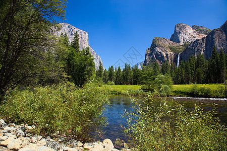 Yosemite 地貌荒野顶峰农村森林悬崖树木天空旅游环境旅行图片