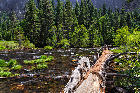 Yosemite 地貌风景花岗岩悬崖地标松树旅行石头森林顶峰农村图片