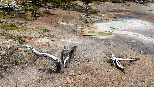 黄石公园的艺术家绘画池风景公园荒野绿地栖息地危险火山旅行环境植物图片