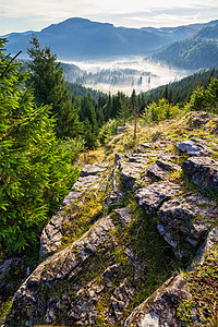 山上充满雾雾的林林中边缘阳光阴霾风景旅游悬崖季节天空薄雾旅行图片