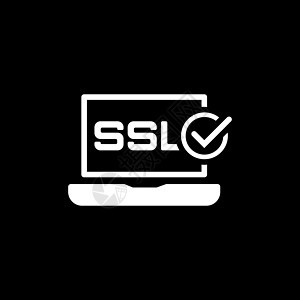 SSL 认证保护图标 平面设计商业安全界面技术互联网电脑网站托管插图身份图片