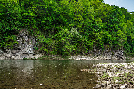 岸上带石石的森林河流叶子农村流动环境乡村石头公园山坡绿色溪流图片