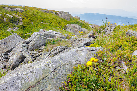 山坡上岩石中的花朵国家石头植物荒野乡村旅行爬坡天空巨石绿色图片