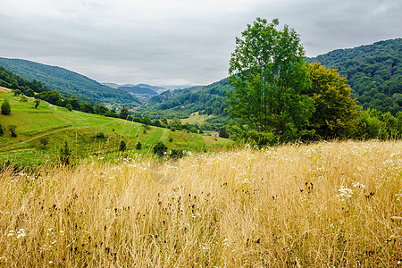 山边草原上的村庄旅行农村爬坡山坡戏剧性绿色天空乡村衬套种植园图片