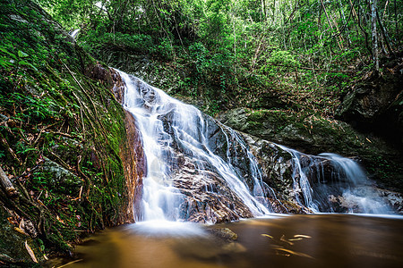 热带雨林中的瀑布图片