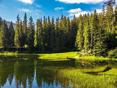 在锥形林的湖中爬坡天空场景蓝色池塘风景公园岩石反射旅行图片