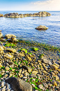 带海藻的岩石海岸海洋海滩海岸线旅行悬崖日出海浪地平线海景天空图片