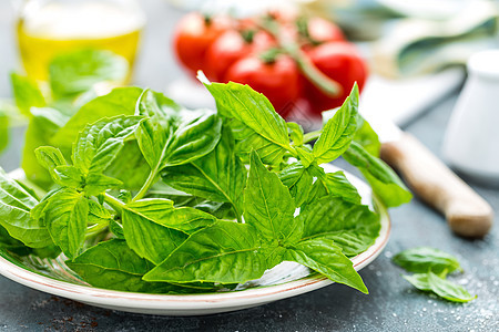 巴西尔草本香料植物食物沙拉绿色草本植物树叶美食芳香图片