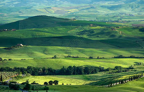 Val dOrcia 托斯卡纳农场风景树木天空农家草地季节叶子旅行树林植被图片