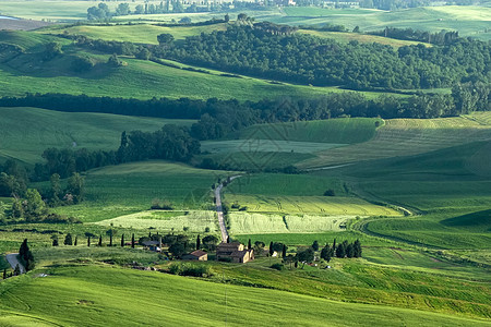 Val dOrcia 托斯卡纳农场植物农田丘陵叶子旅游场景土地植被场地蓝色图片