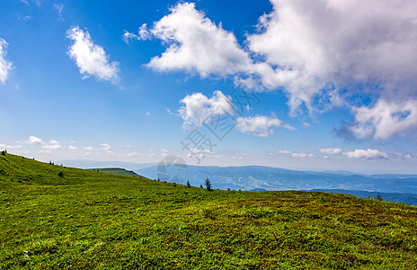 夏季山上草地山坡风景戏剧性晴天高地植物土地天气蓝色场景环境图片