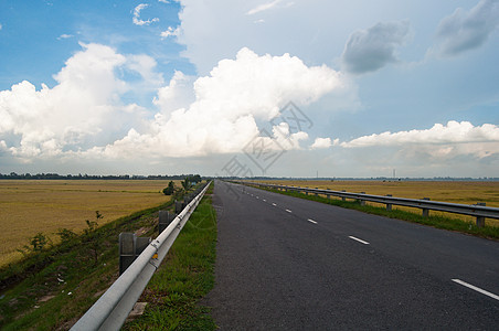 蓝天下穿过稻田的公路图片
