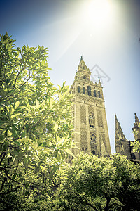 阳光照耀着塞维利亚大教堂的吉拉尔达钟楼图片