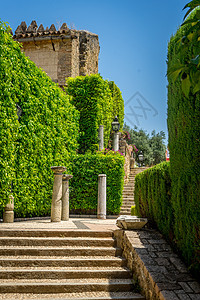 在阿尔卡皇宫花园的 石雀中装饰着高雅的脚步图片