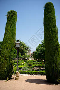 阿尔卡扎尔德洛斯王室花园雅丁树中的高树木石头库存橙子旅游艺术喷泉院子橘子园林蓝天图片