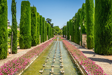 阿尔茨王室花园 石雀中的高树和喷泉图片