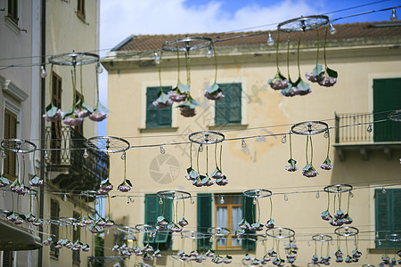 Alguero sardinia Italy 的自行车轮房子树木自行车城市旅行棕榈游客假期建筑学街道图片