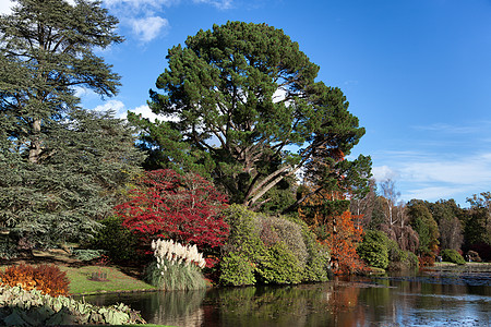 谢菲尔德公园花园吸引力格式植物地标天空场景蓝色风景国家太阳图片