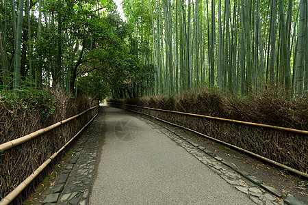 日本京都竹林风景小路通道街道人行道栅栏竹子绿色历史性树木图片