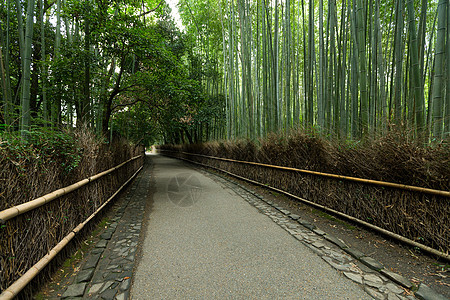 日本京都竹林风景小路通道街道人行道栅栏竹子绿色历史性树木图片