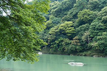 日本荒原山湖游客世界风景旅游地标红叶溪流遗产村庄叶子图片