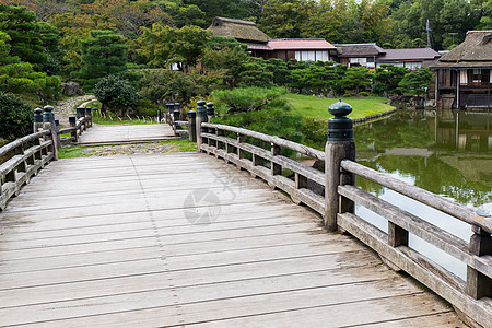 美丽的花园公园玄宫武士彦根历史性松树植物池塘树木历史图片