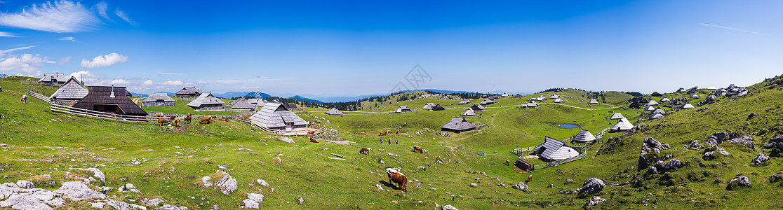 斯洛文尼亚高原 阿尔卑斯山村 传统风格的木屋 流行登山目的地 XXL大小全景图片