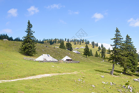 高原 斯洛文尼亚 阿尔卑斯山村 传统风格的木制房屋 大众登山目的地草地房子牧场天空小路爬坡国家木头全景太阳图片