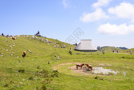 高原 斯洛文尼亚 阿尔卑斯山村 传统风格的木制房屋 大众登山目的地爬坡旅行生态建筑天空小屋旅游农村假期全景图片