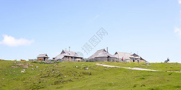 高原 斯洛文尼亚 阿尔卑斯山村 传统风格的木制房屋 大众登山目的地草地小路爬坡旅行小屋天空太阳村庄旅游全景图片